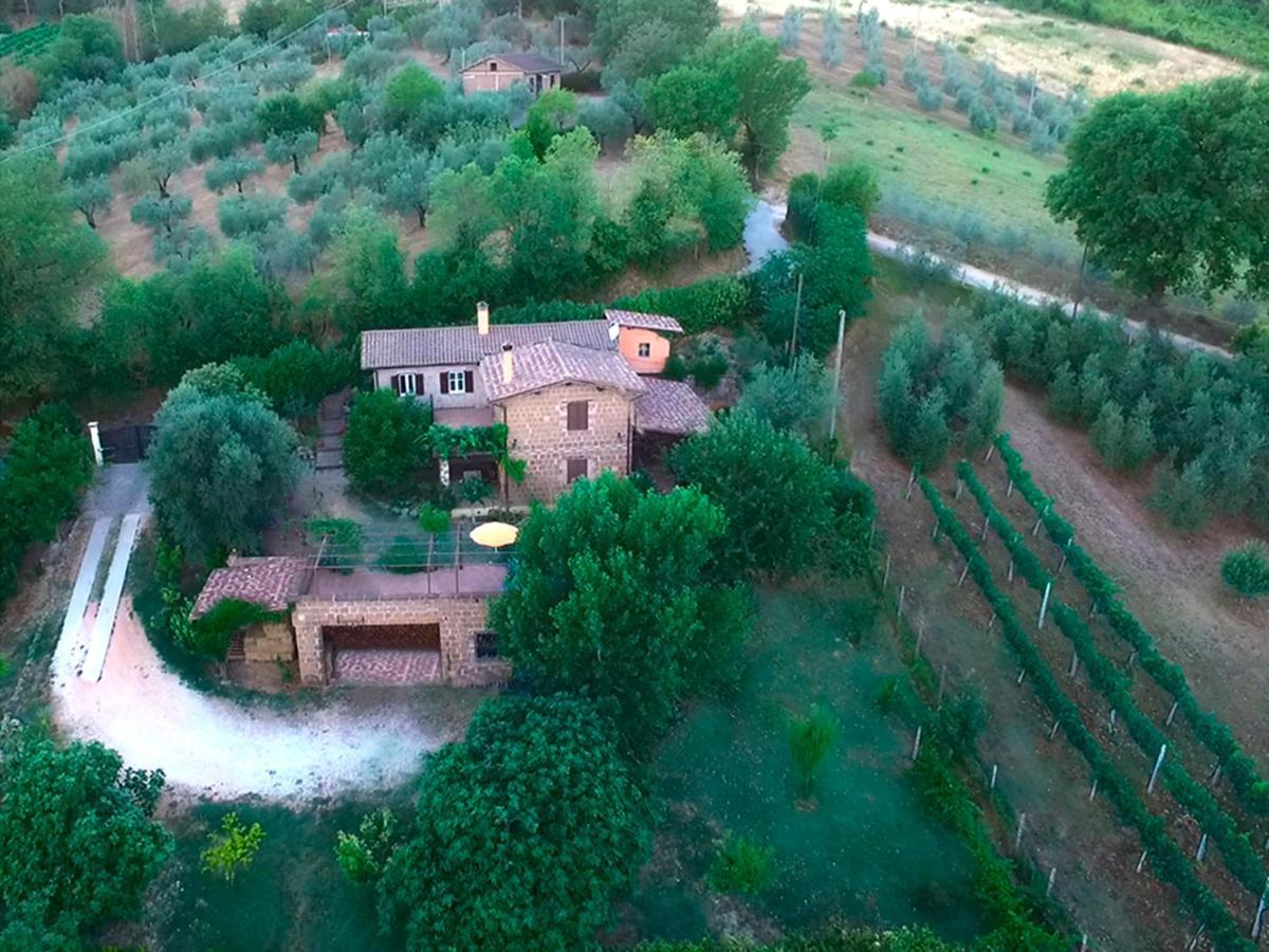 Casale San Pietro Bed & Breakfast Otricoli Eksteriør bilde