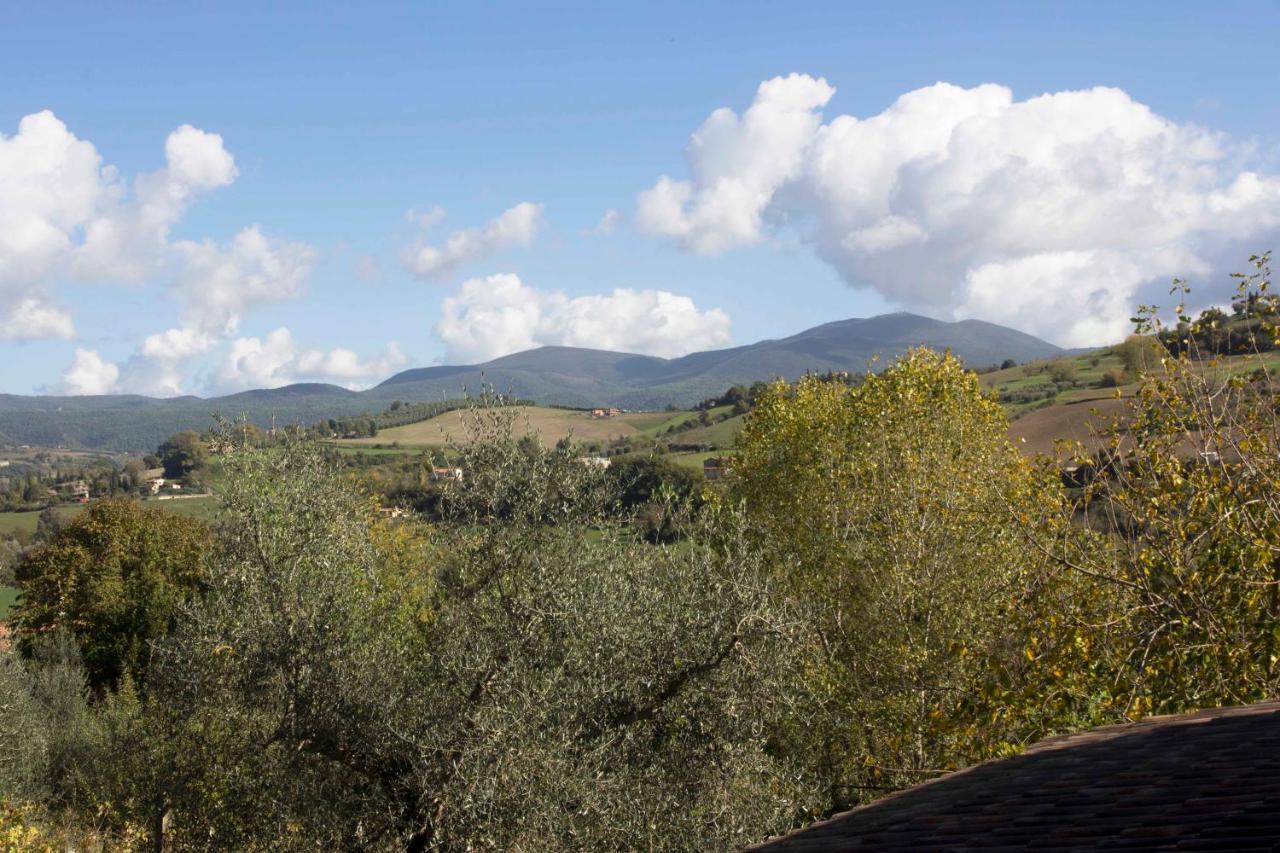 Casale San Pietro Bed & Breakfast Otricoli Eksteriør bilde
