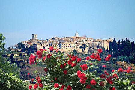 Casale San Pietro Bed & Breakfast Otricoli Eksteriør bilde